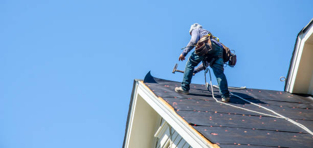 Best Roof Gutter Cleaning  in Fair Oaks, VA